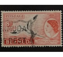 Бермуды (4076)