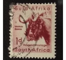 ЮАР (4298)