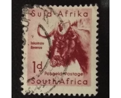 ЮАР (4298)
