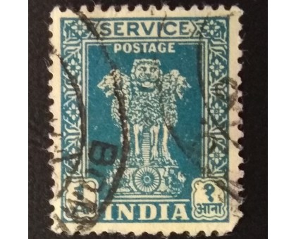 Индия (4351)