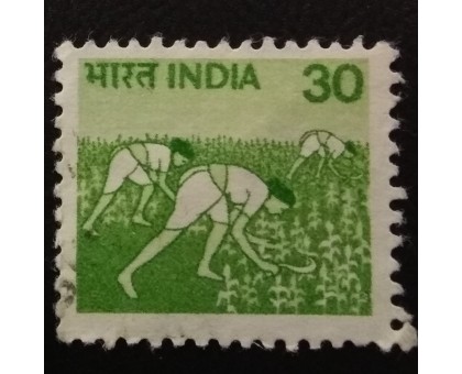 Индия (4356)