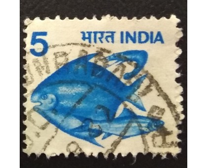 Индия (4359)