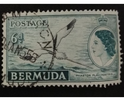 Бермуды (4859)