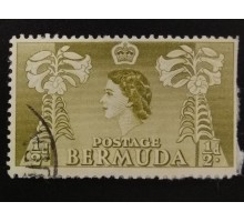 Бермуды (4860)