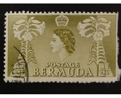 Бермуды (4860)
