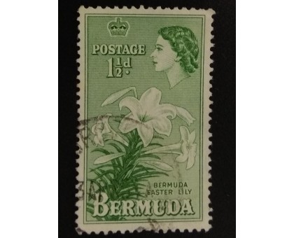 Бермуды (4862)